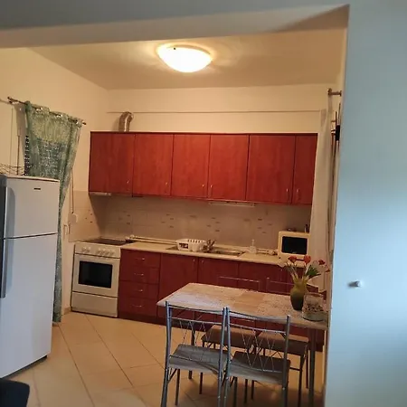 Apartment Elena's