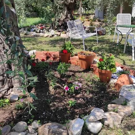 Elena's Appartement Skala Rachoni (Thasos)