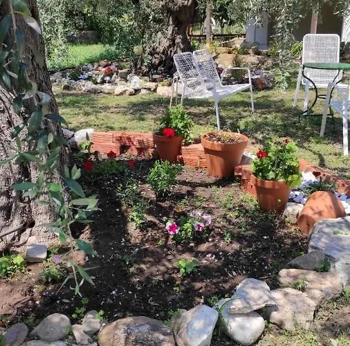 Elena's Appartement Skala Rachoni (Thasos)